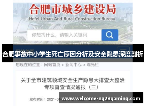 合肥事故中小学生死亡原因分析及安全隐患深度剖析