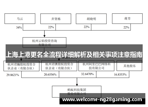 上海上港更名全流程详细解析及相关事项注意指南