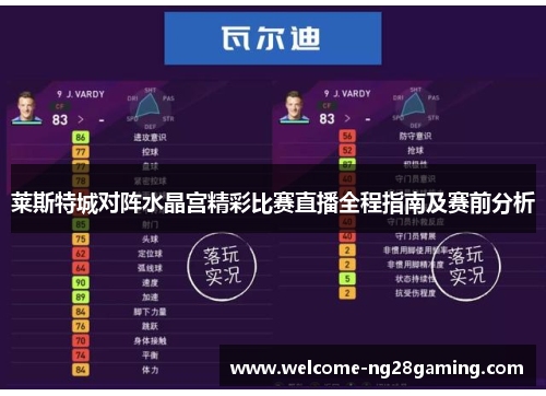 莱斯特城对阵水晶宫精彩比赛直播全程指南及赛前分析