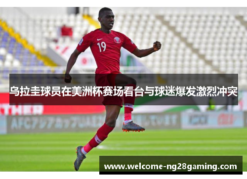 乌拉圭球员在美洲杯赛场看台与球迷爆发激烈冲突