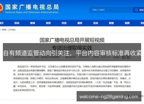 自有频道监管动向引关注，平台内容审核标准再收紧