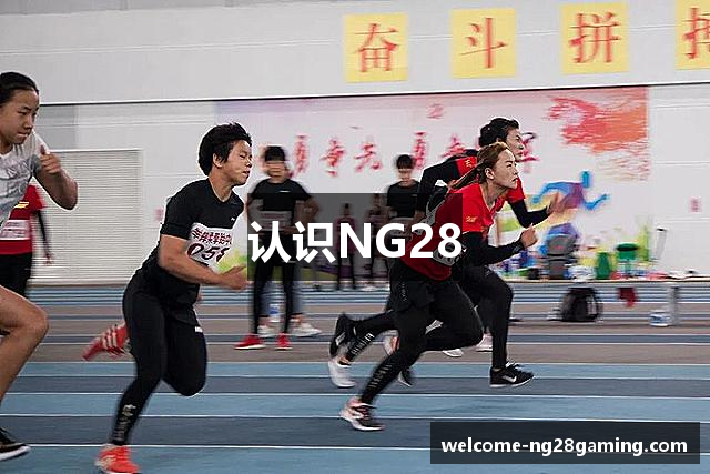 认识NG28